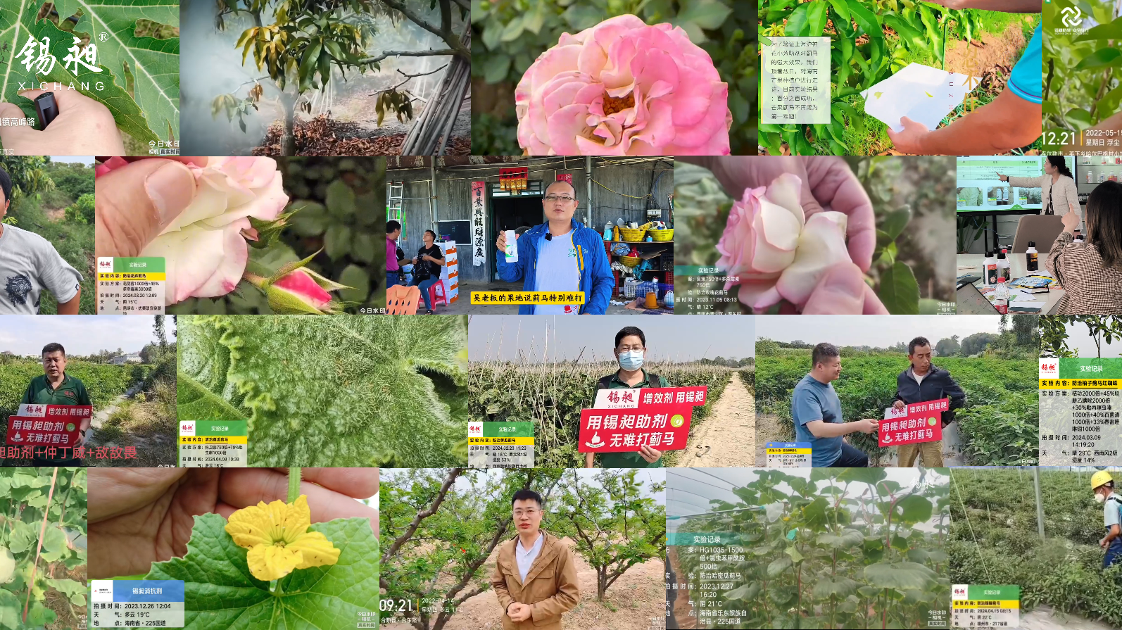 多宫格图片.png
